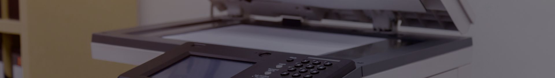 Sale Banner Image